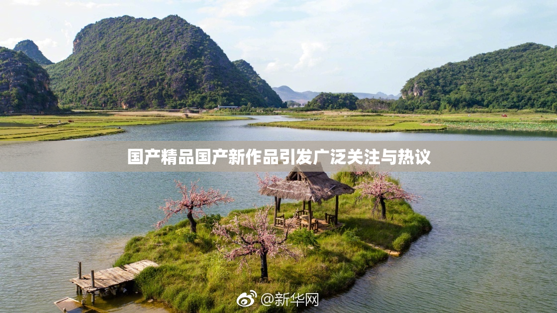 国产精品国产新作品引发广泛关注与热议