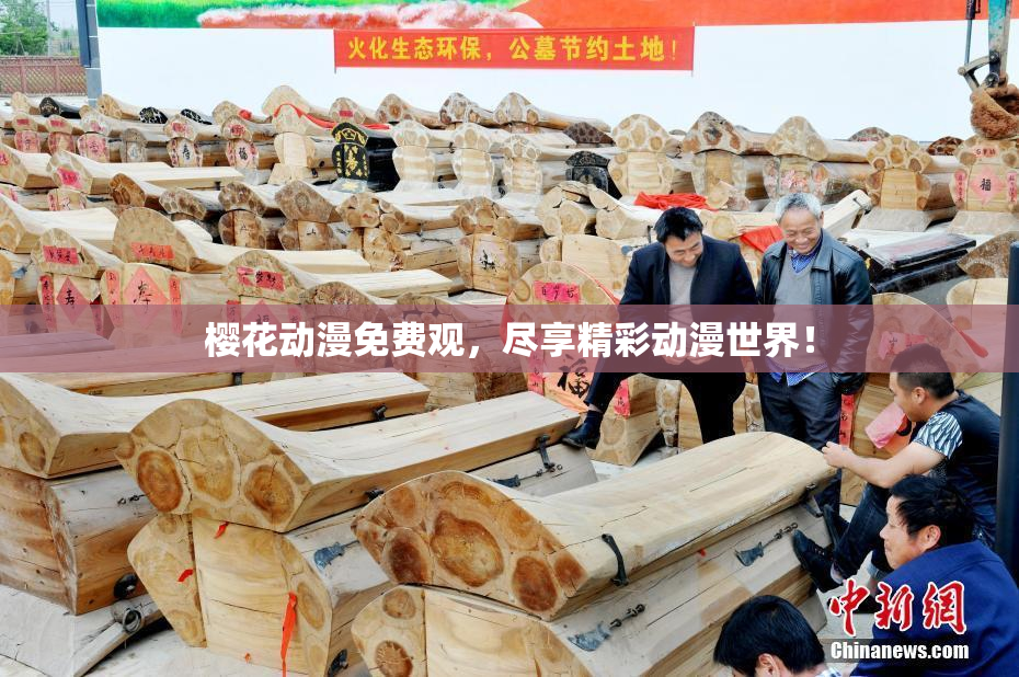 樱花动漫免费观，尽享精彩动漫世界！