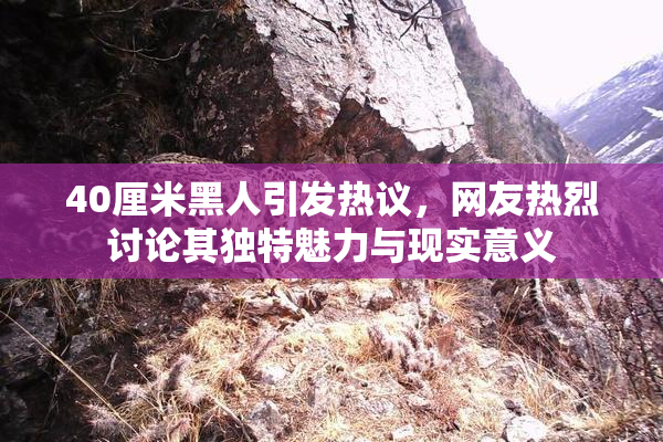 40厘米黑人引发热议，网友热烈讨论其独特魅力与现实意义