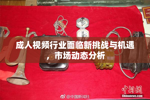 成人视频行业面临新挑战与机遇，市场动态分析