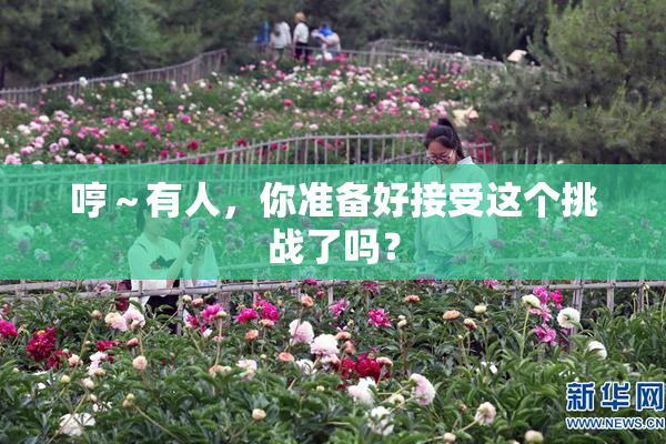 哼～有人，你准备好接受这个挑战了吗？