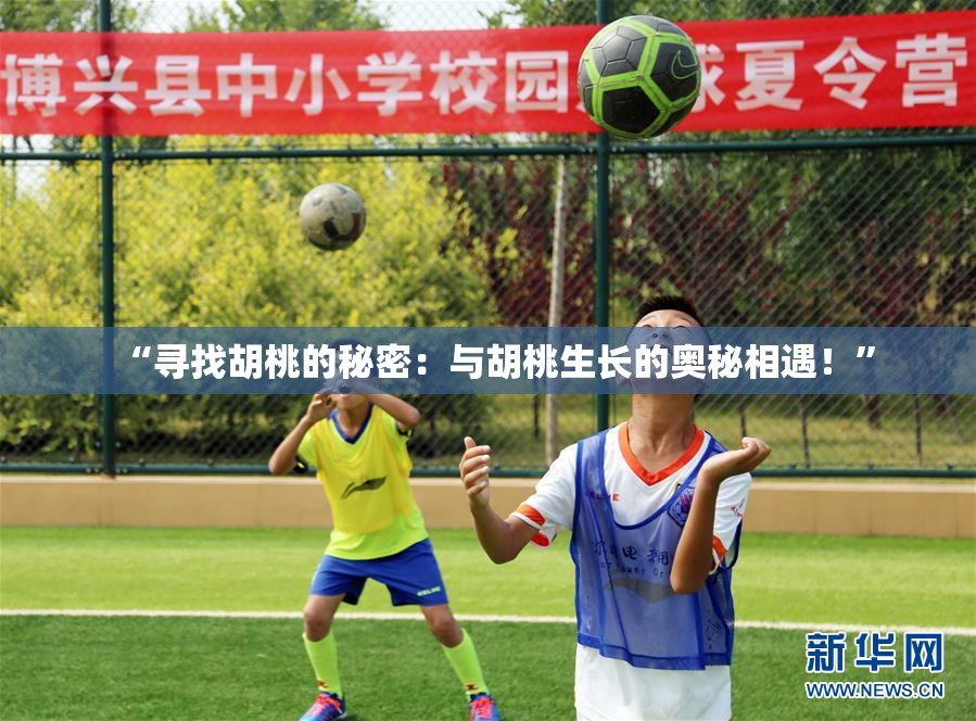 “寻找胡桃的秘密：与胡桃生长的奥秘相遇！”