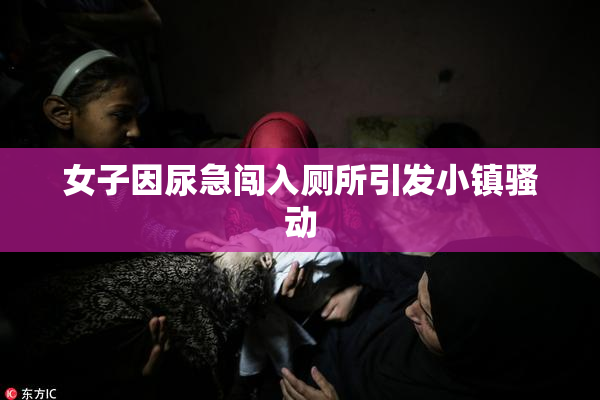 女子因尿急闯入厕所引发小镇骚动