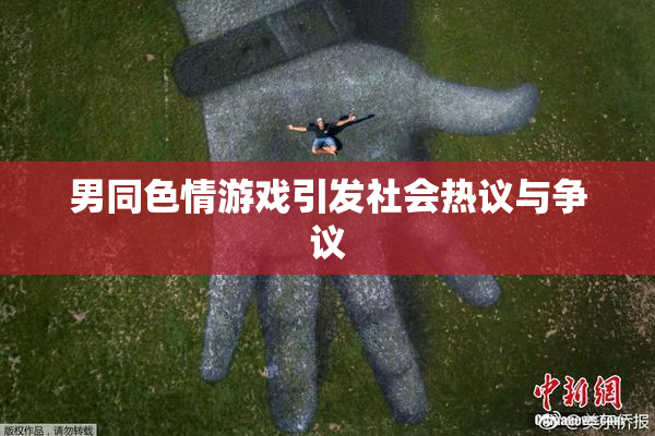 男同色情游戏引发社会热议与争议