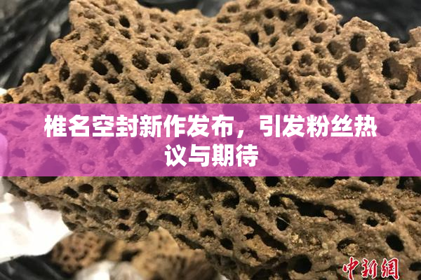 椎名空封新作发布，引发粉丝热议与期待