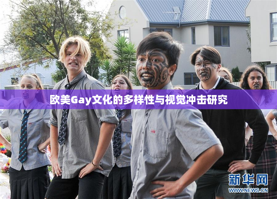 欧美Gay文化的多样性与视觉冲击研究