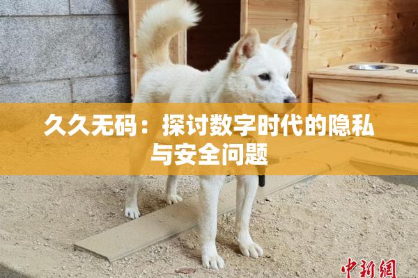 久久无码：探讨数字时代的隐私与安全问题