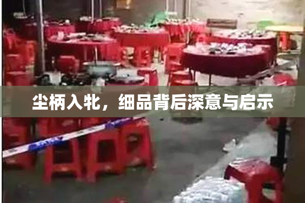 尘柄入牝，细品背后深意与启示