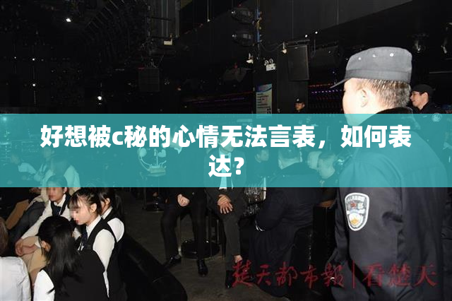 好想被c秘的心情无法言表，如何表达？