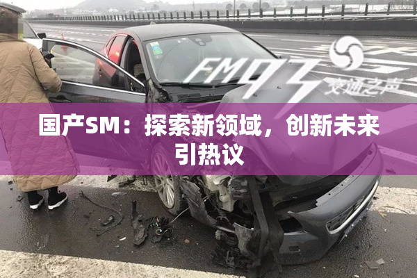 国产SM：探索新领域，创新未来引热议