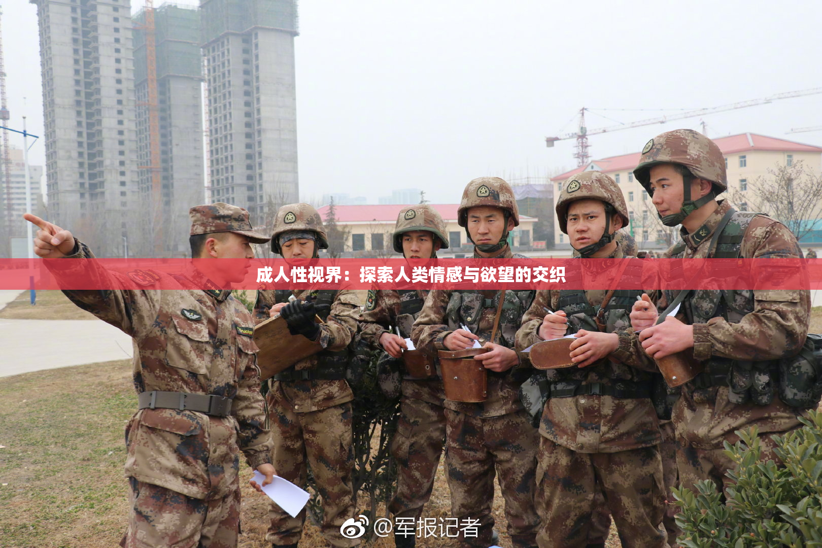 成人性视界：探索人类情感与欲望的交织