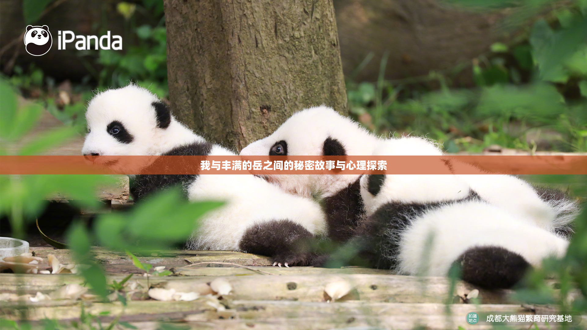 我与丰满的岳之间的秘密故事与心理探索