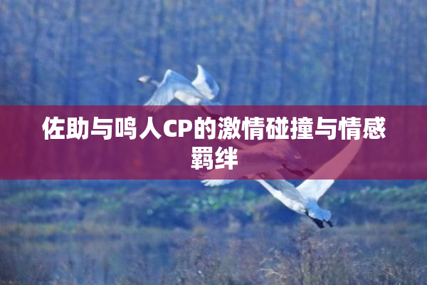佐助与鸣人CP的激情碰撞与情感羁绊