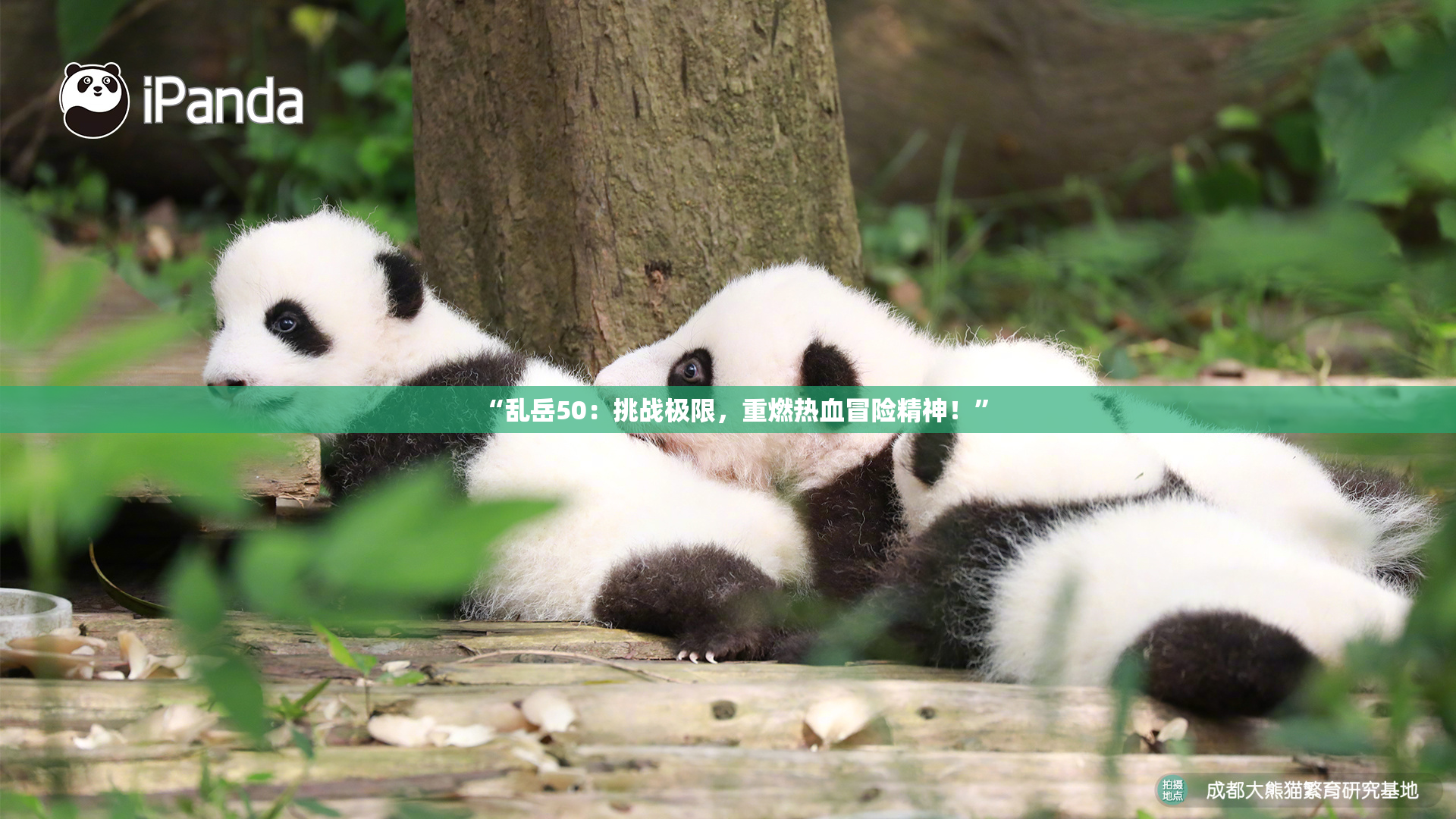 “乱岳50：挑战极限，重燃热血冒险精神！”