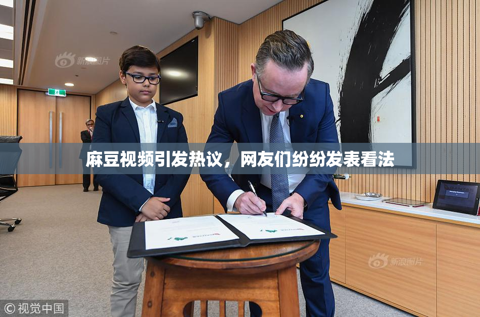 麻豆视频引发热议，网友们纷纷发表看法