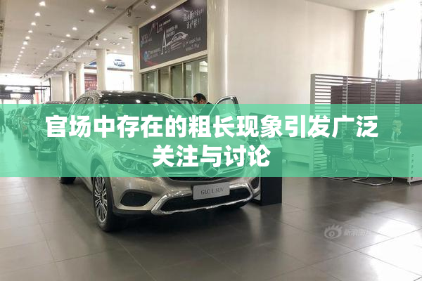 官场中存在的粗长现象引发广泛关注与讨论