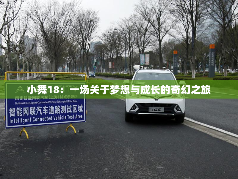 小舞18：一场关于梦想与成长的奇幻之旅