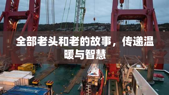 全部老头和老的故事，传递温暖与智慧