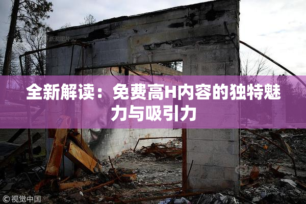 全新解读：免费高H内容的独特魅力与吸引力