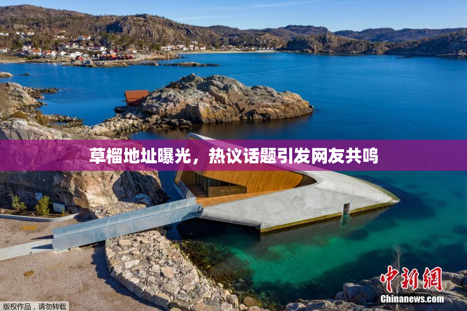 草榴地址曝光，热议话题引发网友共鸣