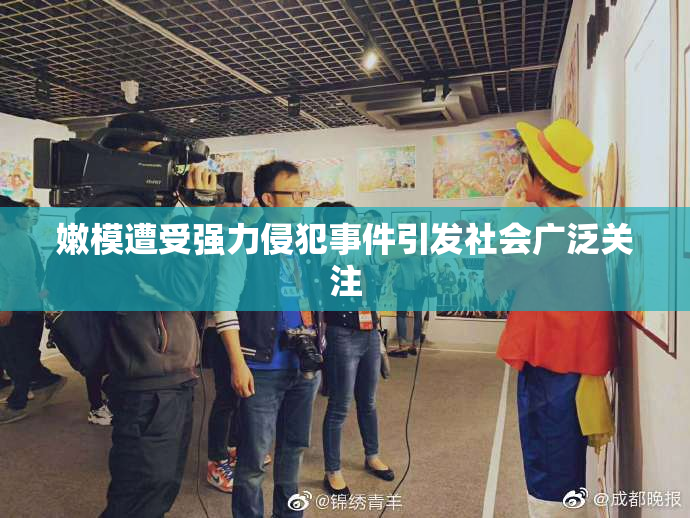 嫩模遭受强力侵犯事件引发社会广泛关注
