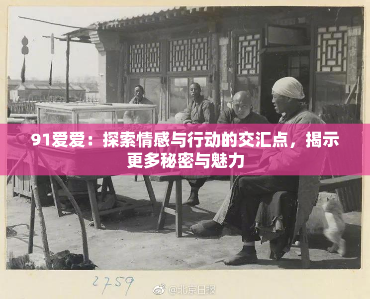91爱爱：探索情感与行动的交汇点，揭示更多秘密与魅力
