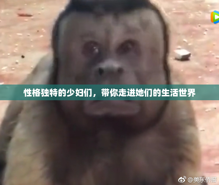 性格独特的少妇们，带你走进她们的生活世界