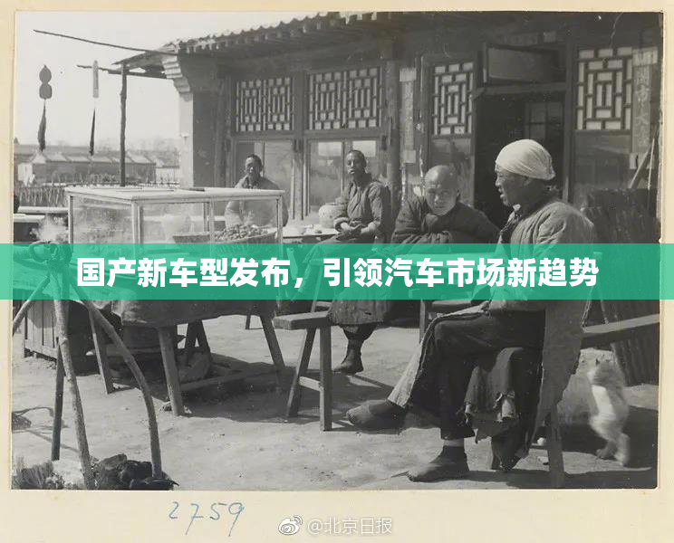 国产新车型发布，引领汽车市场新趋势