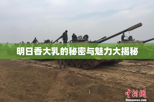 明日香大乳的秘密与魅力大揭秘
