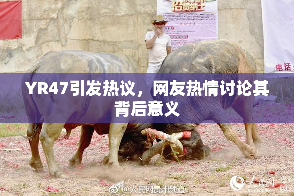 YR47引发热议，网友热情讨论其背后意义