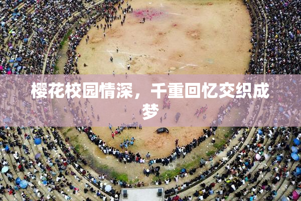 樱花校园情深，千重回忆交织成梦