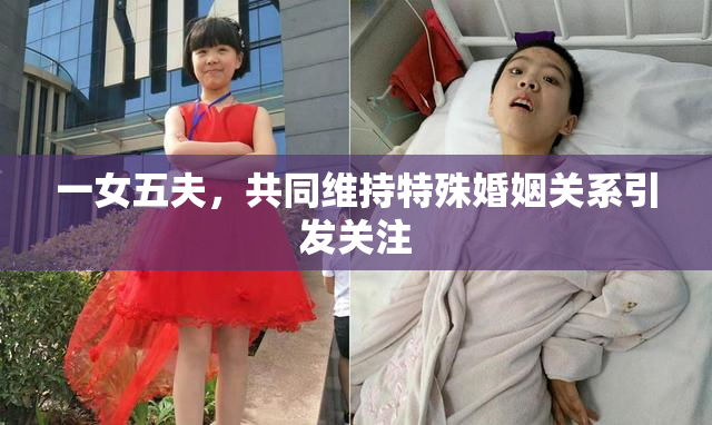 一女五夫，共同维持特殊婚姻关系引发关注