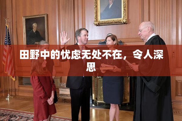 田野中的忧虑无处不在，令人深思
