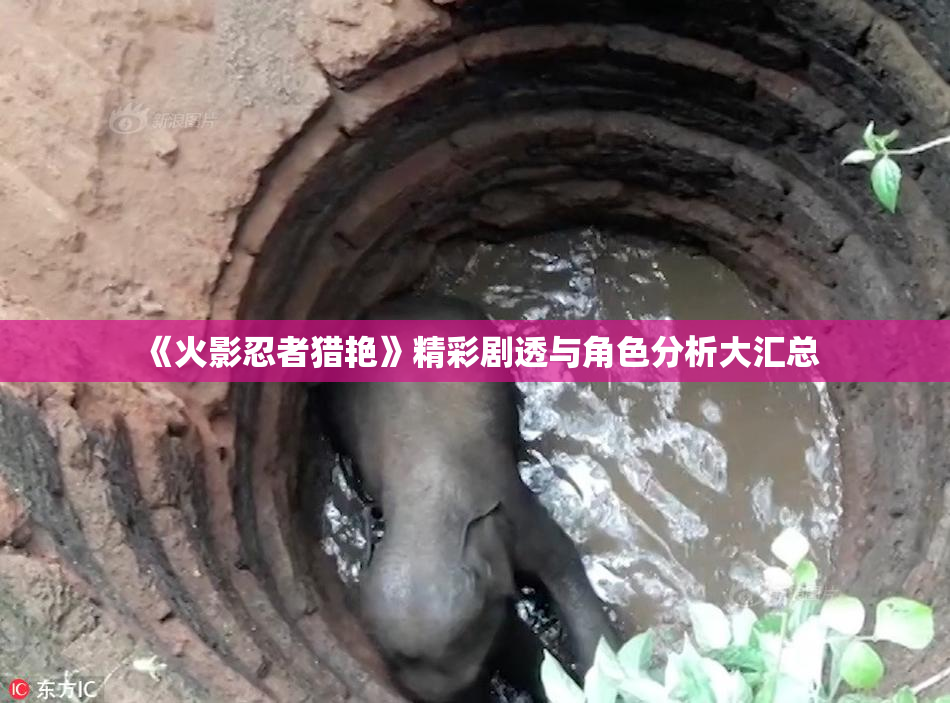 《火影忍者猎艳》精彩剧透与角色分析大汇总