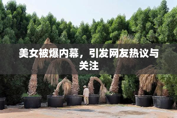 美女被爆内幕，引发网友热议与关注