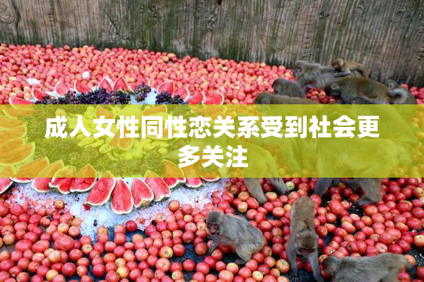 成人女性同性恋关系受到社会更多关注