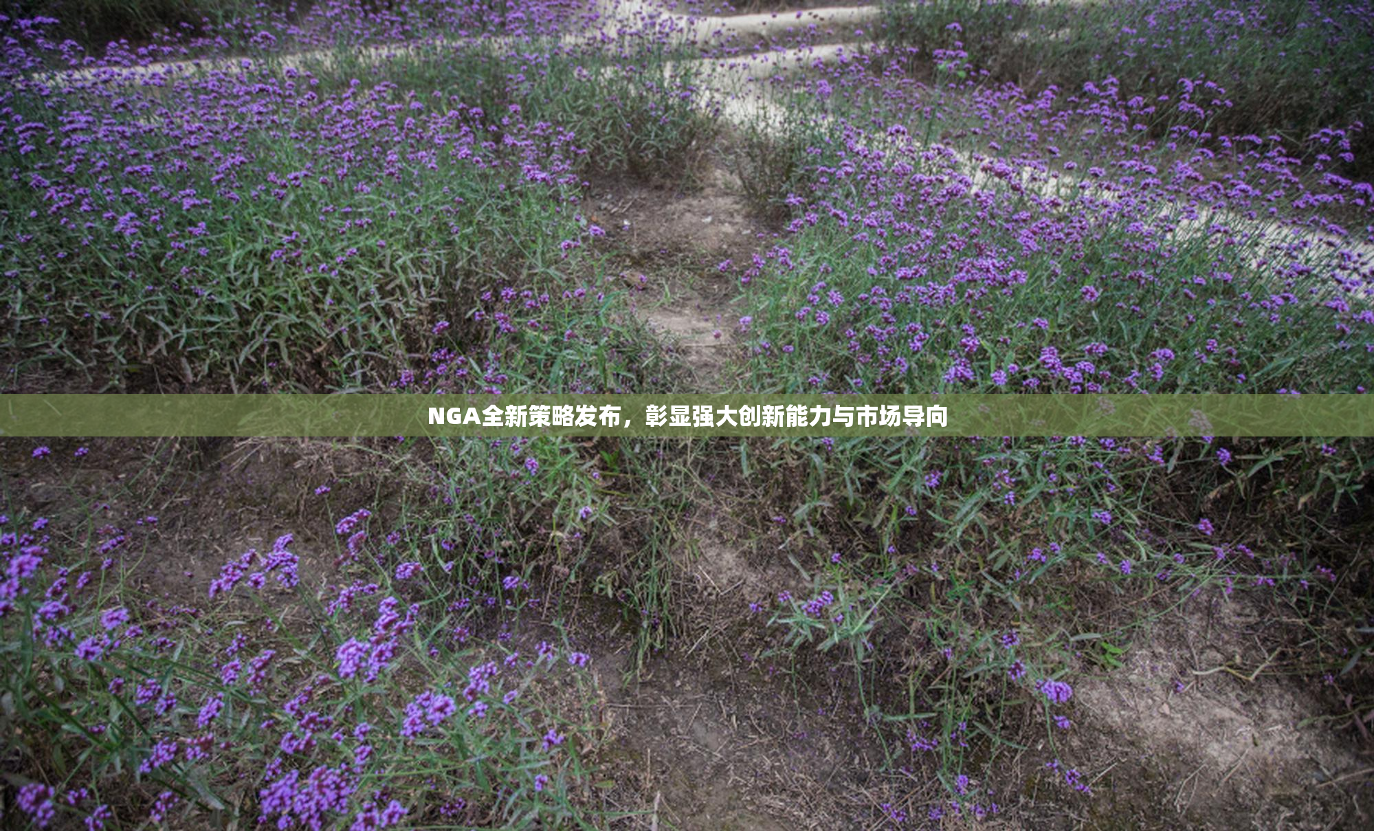 NGA全新策略发布，彰显强大创新能力与市场导向