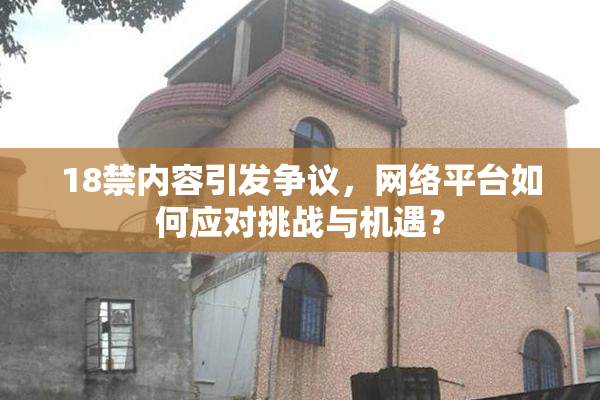 18禁内容引发争议，网络平台如何应对挑战与机遇？