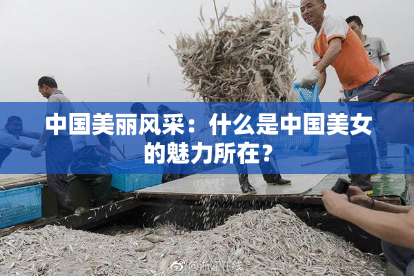 中国美丽风采：什么是中国美女的魅力所在？