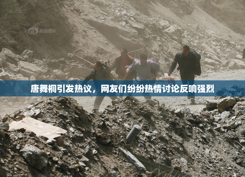 唐舞桐引发热议，网友们纷纷热情讨论反响强烈