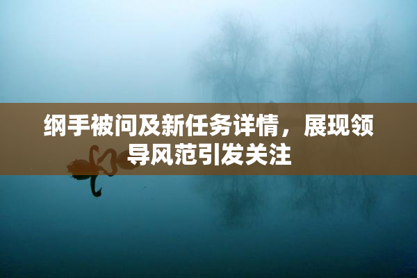 纲手被问及新任务详情，展现领导风范引发关注