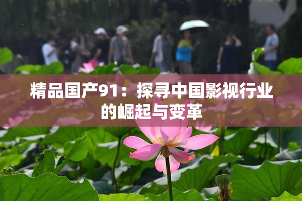 精品国产91：探寻中国影视行业的崛起与变革