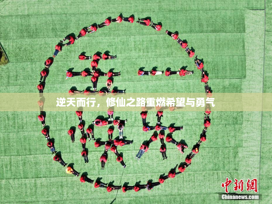 逆天而行，修仙之路重燃希望与勇气