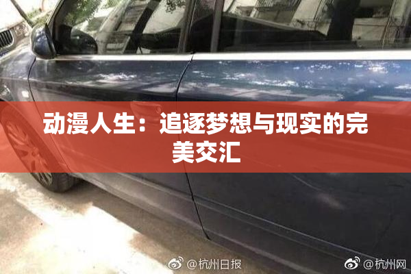 动漫人生：追逐梦想与现实的完美交汇