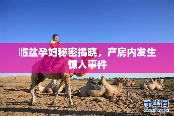 临盆孕妇秘密揭晓，产房内发生惊人事件