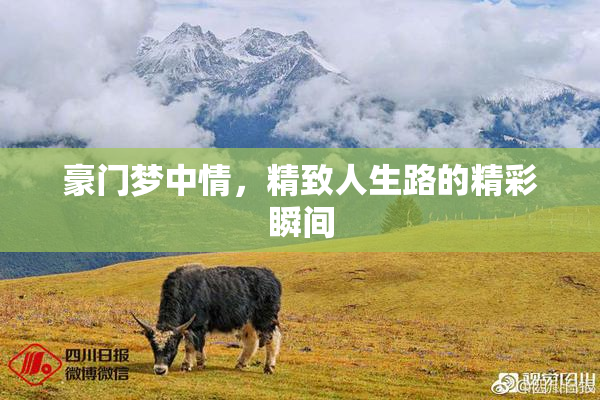 豪门梦中情，精致人生路的精彩瞬间