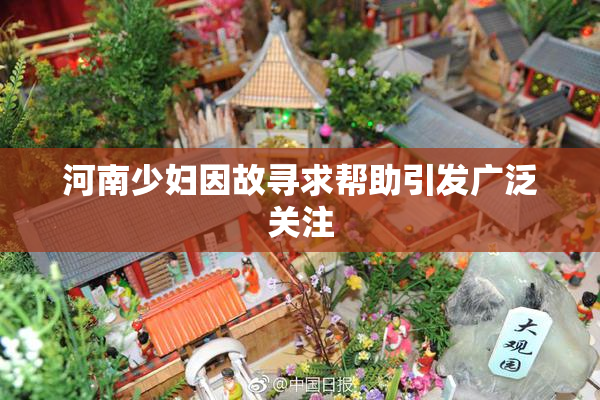 河南少妇因故寻求帮助引发广泛关注