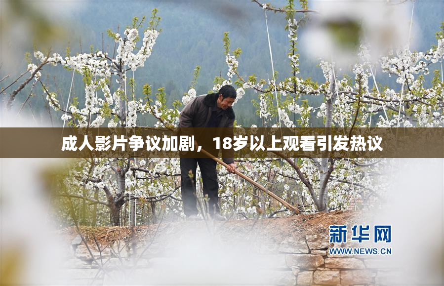 成人影片争议加剧，18岁以上观看引发热议
