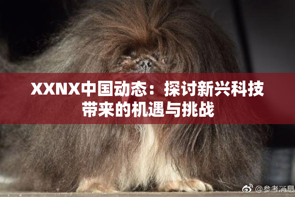 XXNX中国动态：探讨新兴科技带来的机遇与挑战