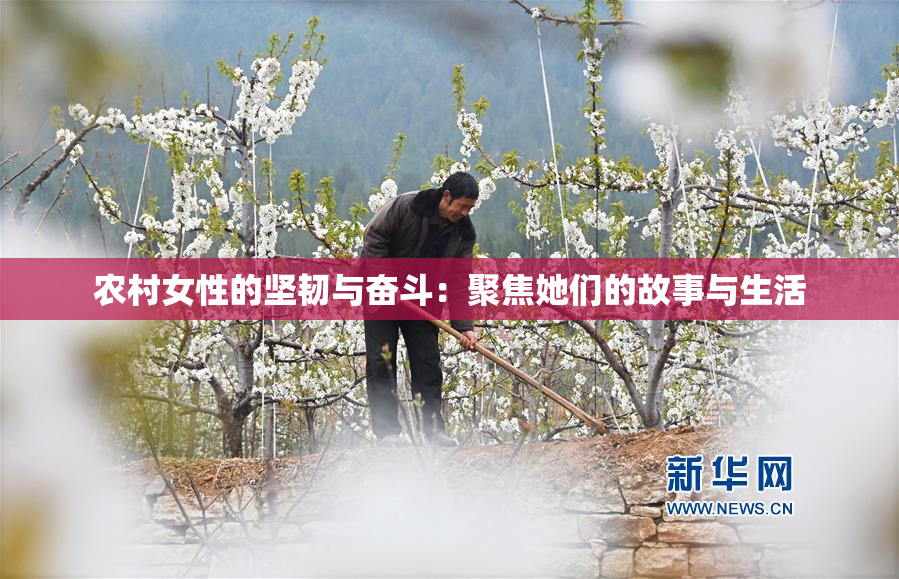 农村女性的坚韧与奋斗：聚焦她们的故事与生活